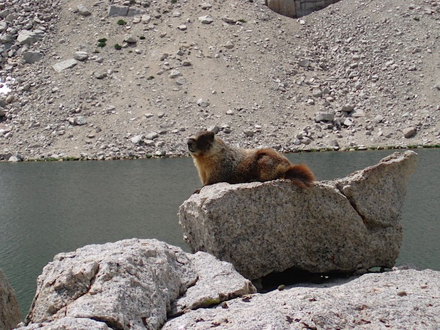 P7160038